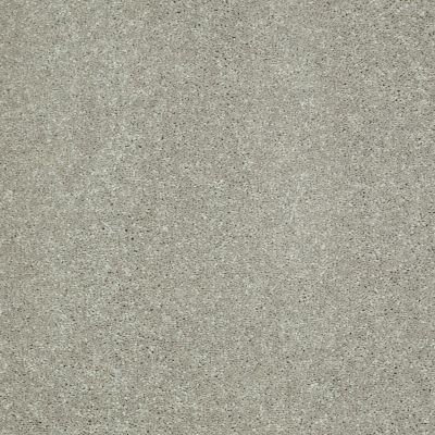 Shaw Floors Value Collections Well Played II 12′ Net Wild Rice 00105_E0840