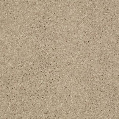 Shaw Floors Value Collections Well Played II 12′ Net Almond Bark 00106_E0840