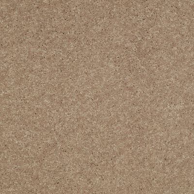 Shaw Floors Value Collections Well Played II 12′ Net Honeycomb 00200_E0840