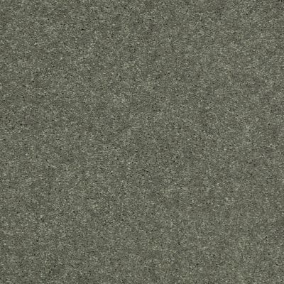 Shaw Floors Value Collections Well Played II 12′ Net Spring Leaf 00300_E0840