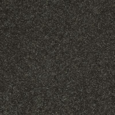 Shaw Floors Value Collections Well Played II 12′ Net Aspen 00302_E0840
