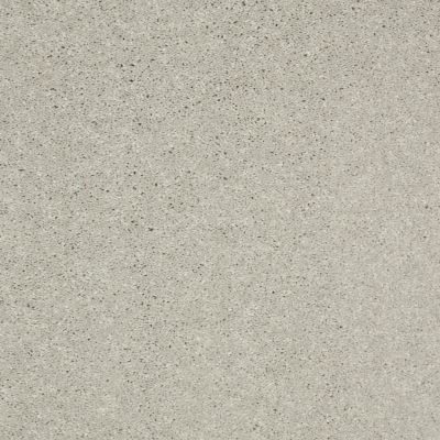 Shaw Floors Value Collections Well Played II 12′ Net Sheer Silver 00500_E0840