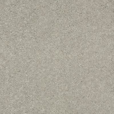 Shaw Floors Value Collections Well Played II 12′ Net Dove Tail 00501_E0840