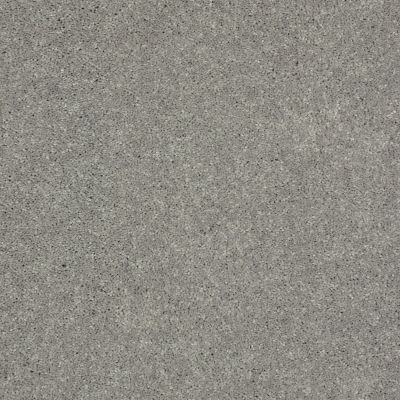 Shaw Floors Value Collections Well Played II 12′ Net Nickel 00502_E0840