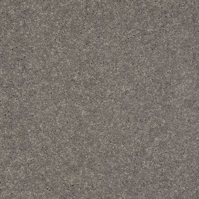 Shaw Floors Value Collections Well Played II 12′ Net Thunder 00503_E0840