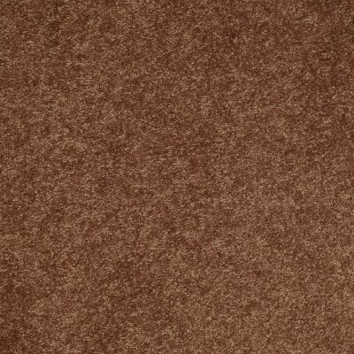 Shaw Floors Value Collections Well Played II 12′ Net Pottery 00600_E0840