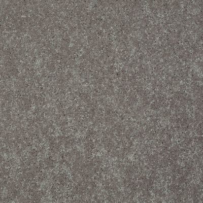 Shaw Floors Value Collections Well Played II 12′ Net Mocha Frost 00702_E0840