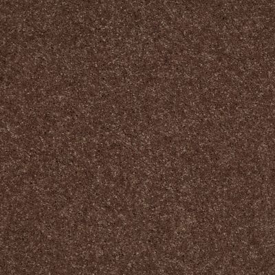 Shaw Floors Value Collections Well Played II 12′ Net Briar Patch 00703_E0840