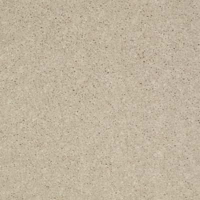 Shaw Floors Value Collections Well Played I 15′ Net Ecru 00103_E0847