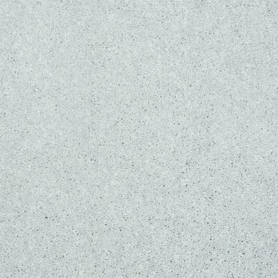 Shaw Floors Value Collections Well Played I 15′ Net Sheer Silver 00500_E0847