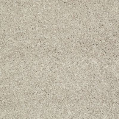 Shaw Floors Value Collections Well Played I 15′ Net Natural Beige 00700_E0847