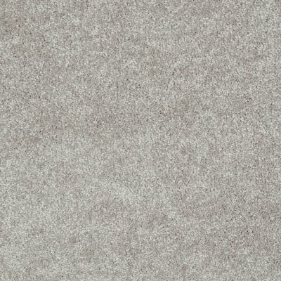Shaw Floors Value Collections Well Played I 15′ Net Mocha Frost 00702_E0847