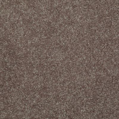 Shaw Floors Value Collections Well Played I 15′ Net Briar Patch 00703_E0847