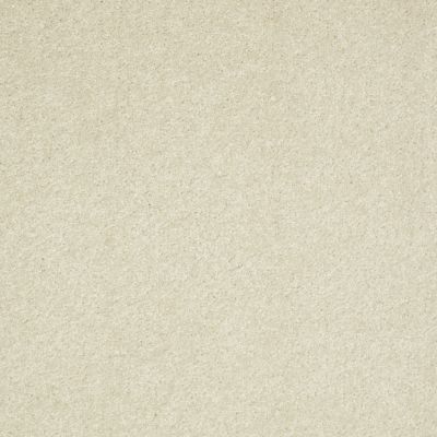 Shaw Floors Value Collections Well Played II 15′ Net Creamy Tint 00101_E0848