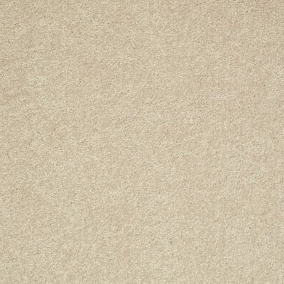 Shaw Floors Value Collections Well Played II 15′ Net Agate 00102_E0848
