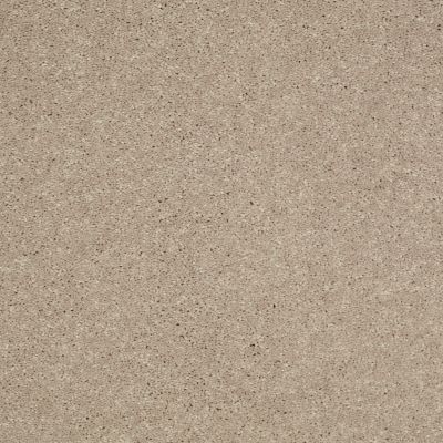 Shaw Floors Value Collections Well Played II 15′ Net Sandy Nook 00104_E0848