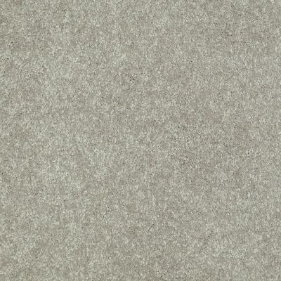 Shaw Floors Value Collections Well Played II 15′ Net Wild Rice 00105_E0848