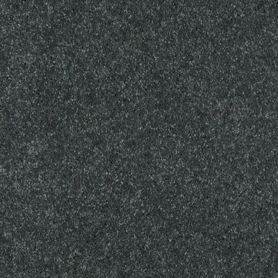 Shaw Floors Value Collections Well Played II 15′ Net Aspen 00302_E0848