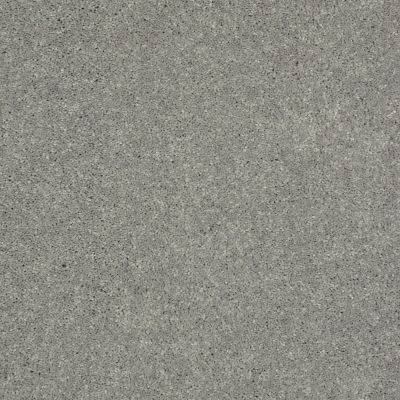 Shaw Floors Value Collections Well Played II 15′ Net Nickel 00502_E0848