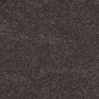 Shaw Floors Value Collections Well Played II 15′ Net Charcoal 00504_E0848