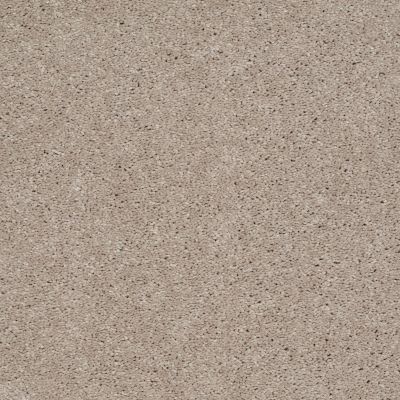 Shaw Floors Value Collections Well Played II 15′ Net Natural Beige 00700_E0848
