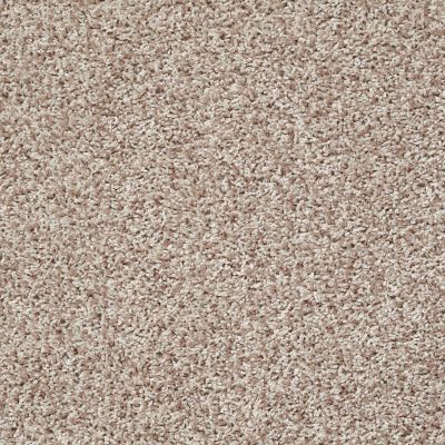Shaw Floors Color Flair Cornmeal 00103_E0852