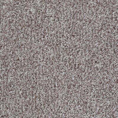 Shaw Floors Color Flair Tempting Taupe 00701_E0852