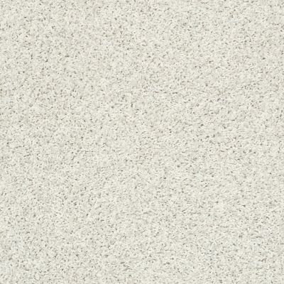 Shaw Floors Value Collections Color Flair Net Mayfair 00112_E0853