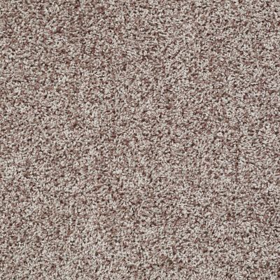 Shaw Floors Value Collections Color Flair Net Toast 00702_E0853