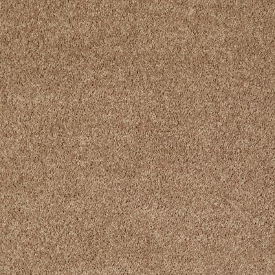 Shaw Floors Value Collections Mayville 12′ Net Cider 00202_E0921