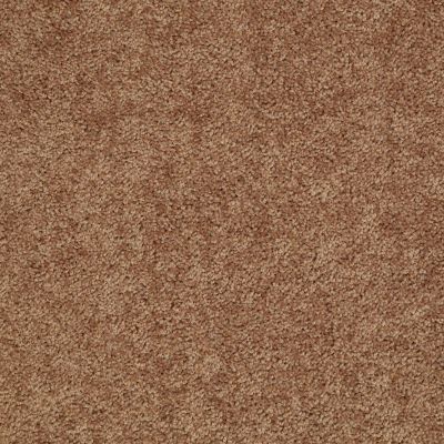 Shaw Floors Value Collections Mayville 12′ Net Desert Sunrise 00721_E0921