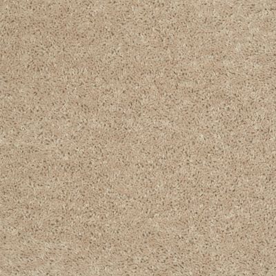 Shaw Floors Value Collections Mayville 15′ Net Adobe 00103_E0922