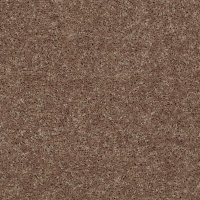 Shaw Floors Value Collections Mayville 15′ Net Rio Grande 00701_E0922