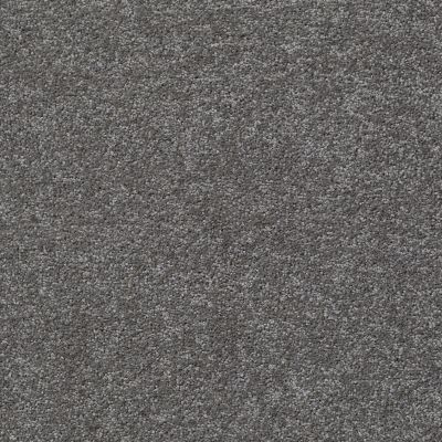 Shaw Floors Value Collections Something Sweet Net Slate 00701_E0924