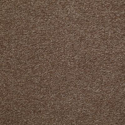 Shaw Floors Value Collections Something Sweet Net Brushed Suede 00702_E0924