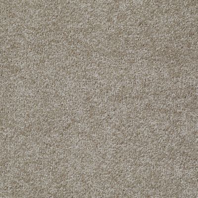 Shaw Floors Value Collections Something Sweet Net Hickory 00711_E0924