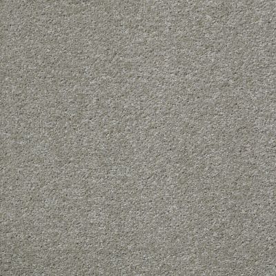 Shaw Floors Value Collections Something Sweet Net Smooth Taupe 00712_E0924