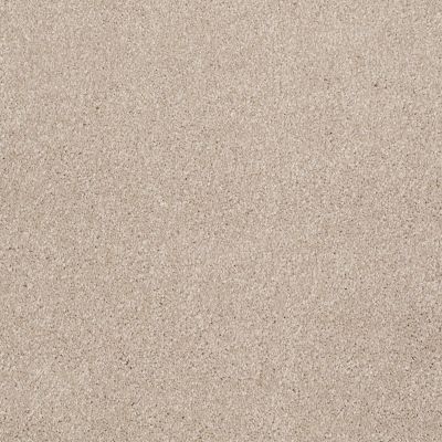 Shaw Floors Value Collections That’s Right Net French Canvas 00102_E0925