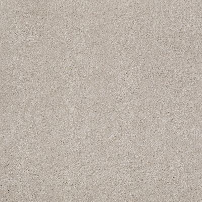 Shaw Floors Value Collections That’s Right Net Greige 00106_E0925