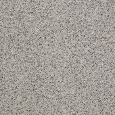 Shaw Floors Value Collections That’s Right Net Sandstone 00153_E0925