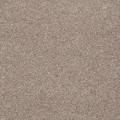 Shaw Floors Value Collections What’s Up Net Sombrero 00710_E0926