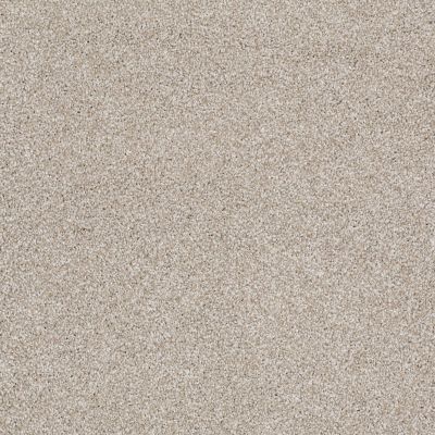 Shaw Floors Value Collections What’s Up Net Cork Board 00711_E0926