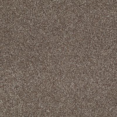 Shaw Floors Value Collections What’s Up Net Saddle 00718_E0926