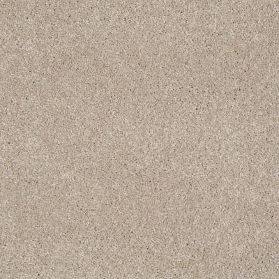 Shaw Floors Value Collections You Know It Net French Canvas 00102_E0927