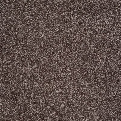 Shaw Floors Value Collections You Know It Net Fudge Ripple 00717_E0927