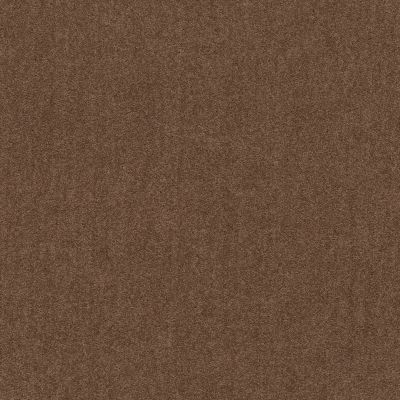 Shaw Floors Dyersburg Classic 12′ Winter Wheat 55791_E0947