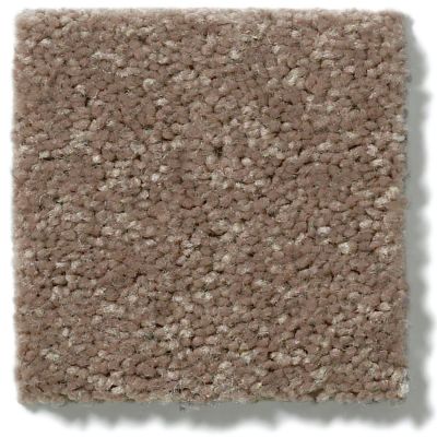 Shaw Floors Dyersburg Classic 12′ Winter Wheat 55791_E0947