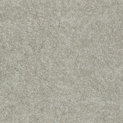 Shaw Floors Dyersburg Classic 15′ Antique Silk 00131_E0948