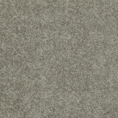 Shaw Floors Dyersburg Classic 15′ Suede 00731_E0948
