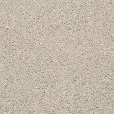Shaw Floors Dyersburg Classic 15′ Marble 55150_E0948